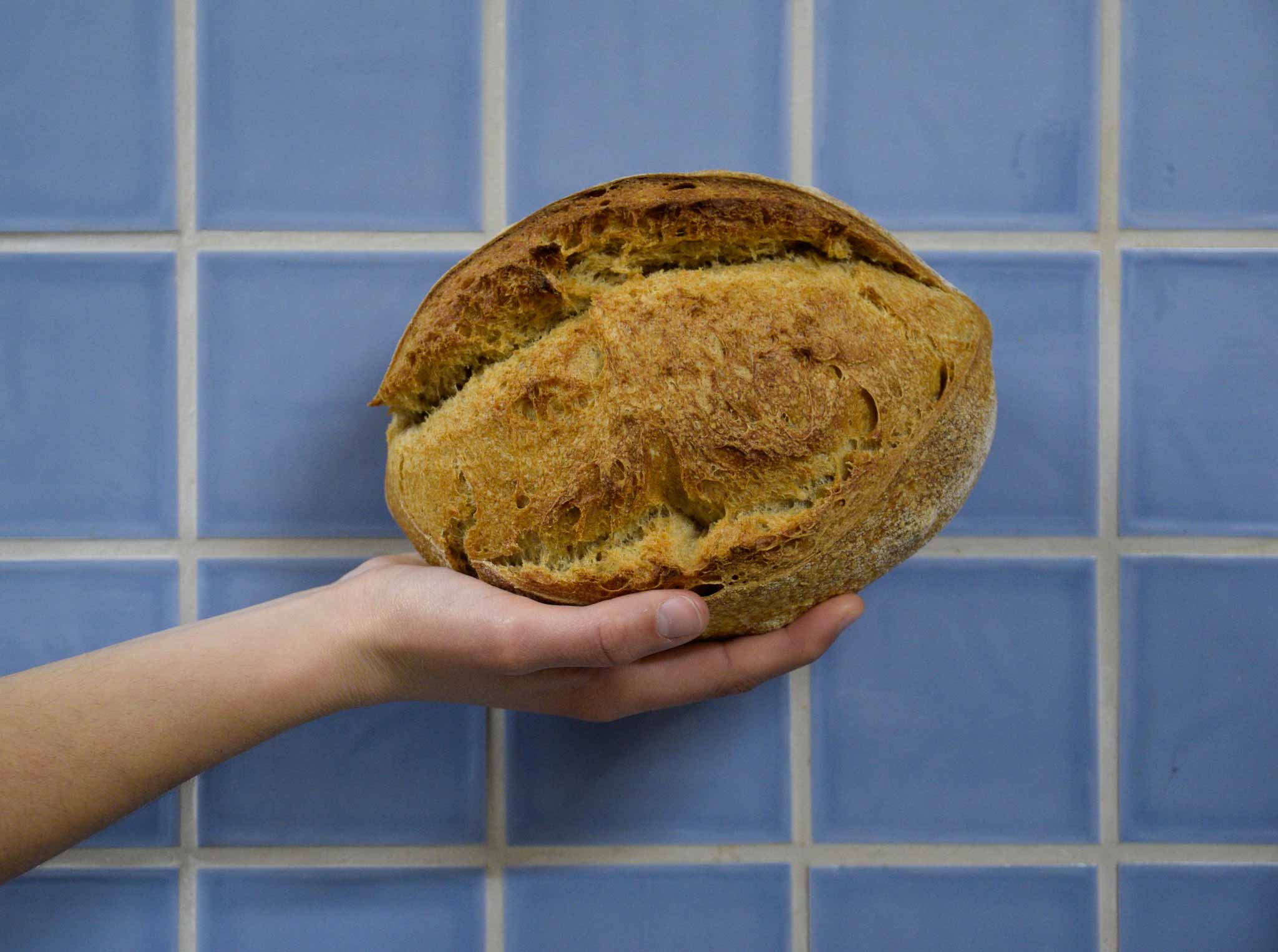 Hogaza de masa madre